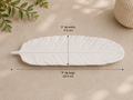 Pluma Botánica