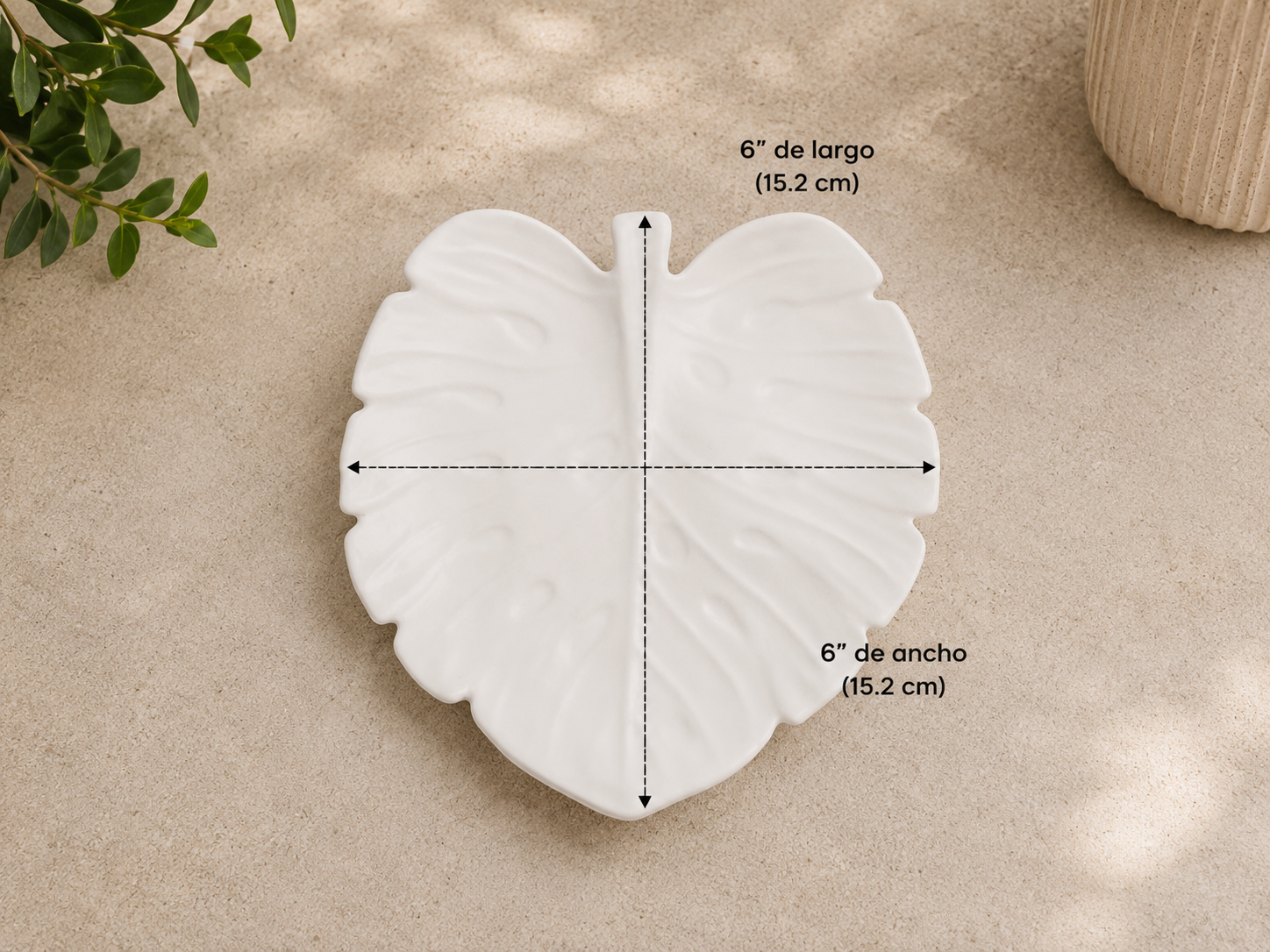 Monstera Serenity